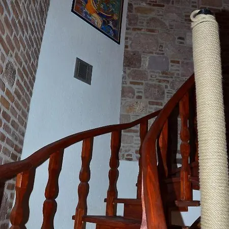 Hayalevi Ayvalı