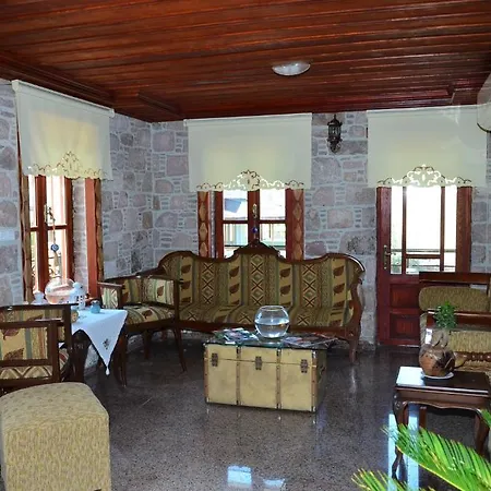 Hayalevi Ayvalı