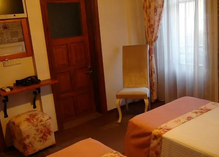 住宿加早餐酒店 Hayalevi *