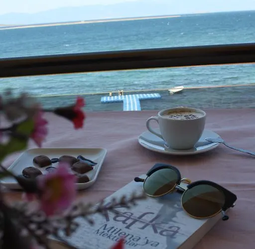 住宿加早餐酒店 Hayalevi Ayvalı